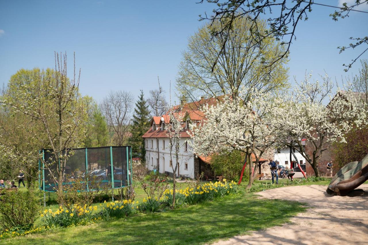 Villa Greta Schönau an der Katzbach Exterior foto